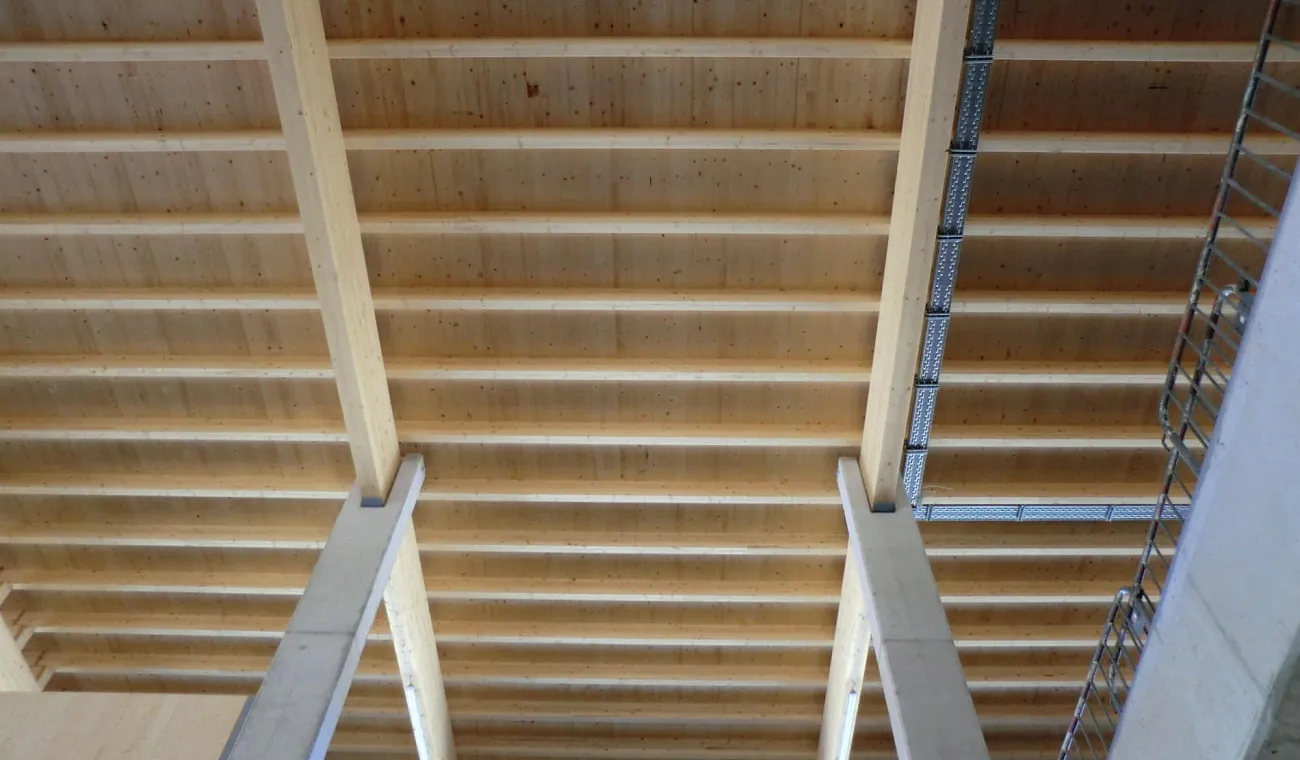 dachuntersichtlagerhaus.jpg